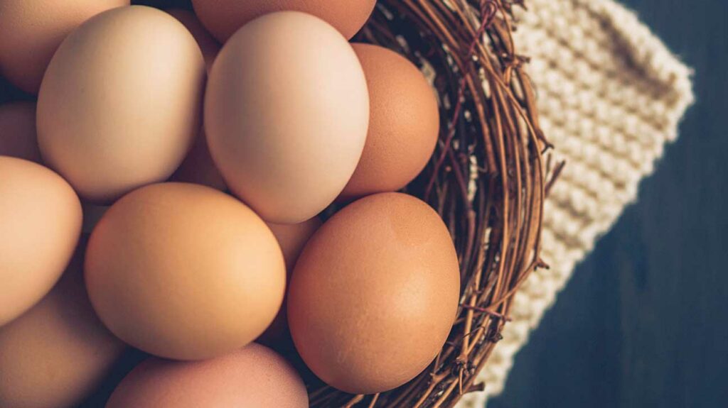 Top 10 Health Benefits of Eating Eggs