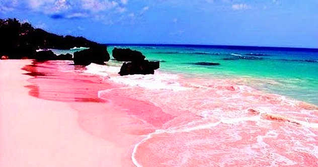 Top 10 Pink Wonders Of The Natural World