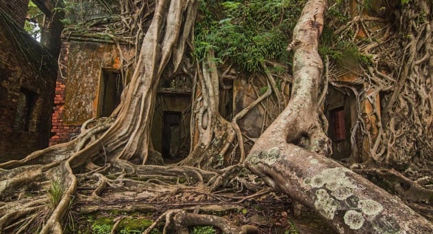 10 Abandoned Places Being Reclaimed By Nature