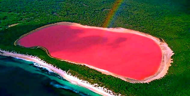 Top 10 Pink Wonders Of The Natural World