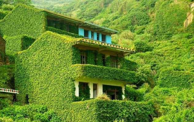 10 Abandoned Places Being Reclaimed By Nature