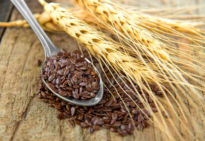 Top 10 Health Benefits of Flax Seeds