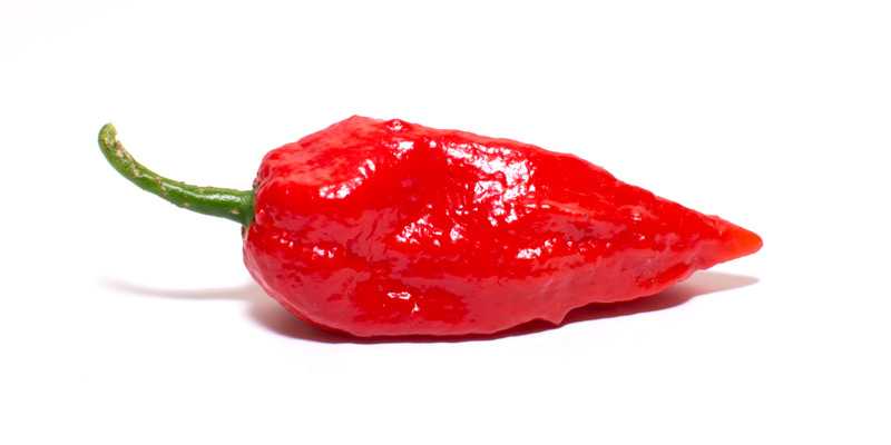 Top 10 World's Hottest Peppers
