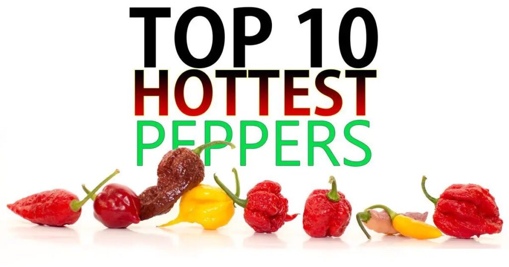 Top 10 World's Hottest Peppers