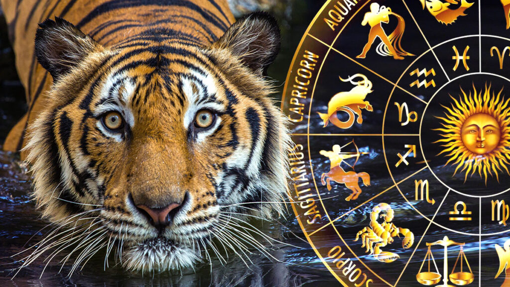 Your 2022 horoscope