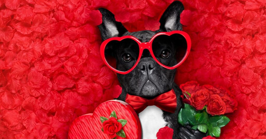 Best Valentine's Day Wishes and Messages for Friends, Family, and Loved Ones