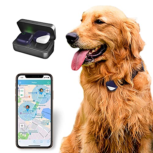 10 Best Dog and Cat GPS Trackers in 2022