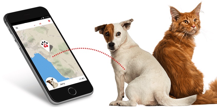 10 Best Dog and Cat GPS Trackers in 2022