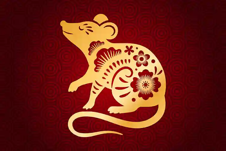 Chinese Horoscope 2023 – Year of the Black Water Rabbit